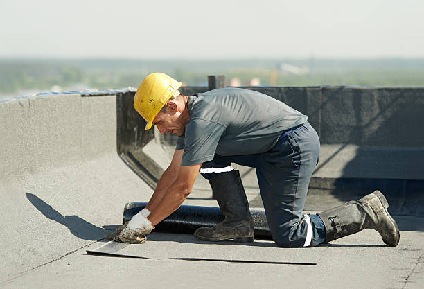 Best Specialized Insulation Services in Ellisville, MO